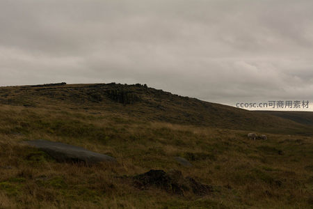 丘陵之上，羊群点缀在枯草与巨石之间