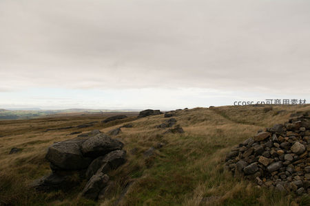 云层低垂，草原石径通向远方