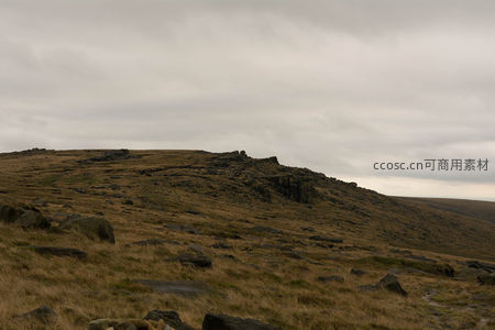荒野山坡上的枯草与巨石