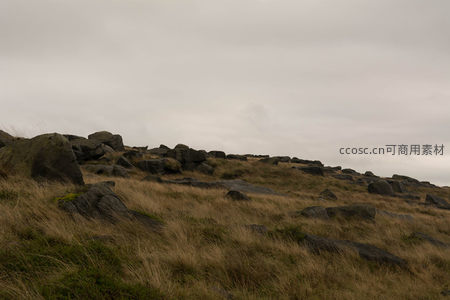 风中摇曳的山地草甸