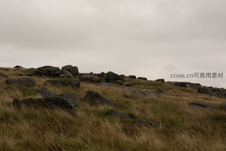 岩石遍布的高原草地