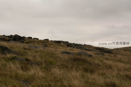 灰蒙天空下的野性山丘