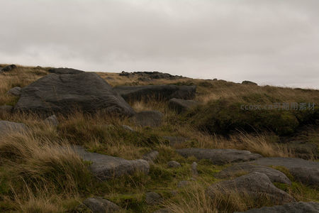 荒野巨石与枯黄草地的静谧景象