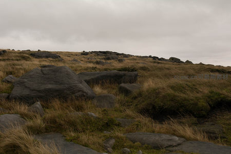 山坡上散布的巨石与枯草风景