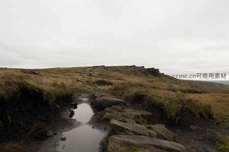 溪流石径穿行于旷野之间