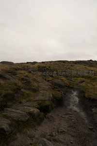 崎岖山径通向远方，石块与枯草交织