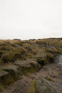 荒野小道旁散落巨石，风中草色微黄