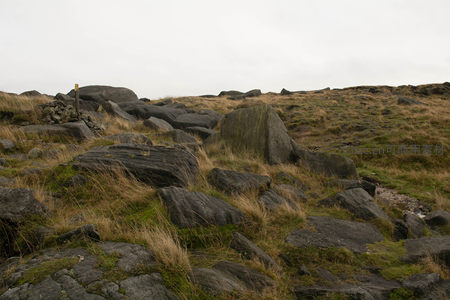 岩石遍布的坡地，野草点缀其间