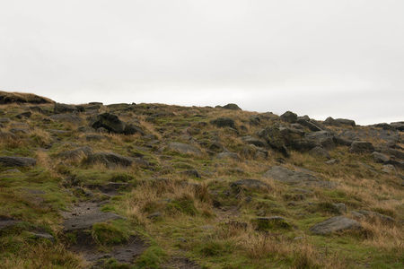 荒野山坡上的岩石与枯草