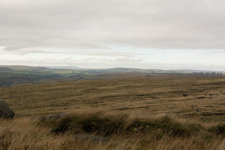 云层笼罩下的起伏山丘与枯草