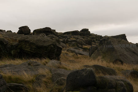 荒野巨石与枯黄草甸的静谧风景