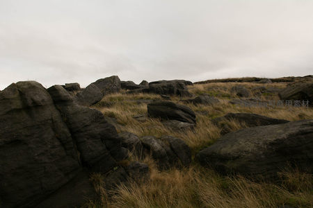 山坡上散布的巨型岩石群落