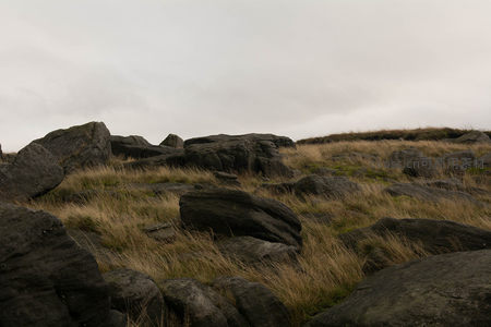 岩石与野草交织的旷野景观