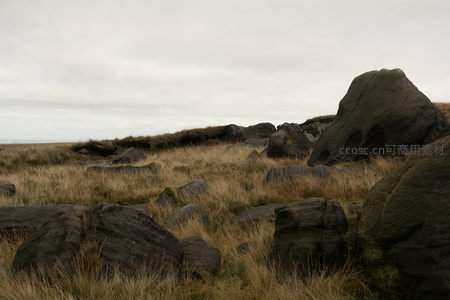 远眺荒原上的巨石阵列与枯草