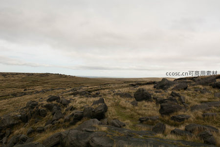 广阔荒原上散布的黑色岩石群