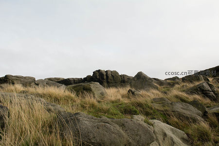 灰空之下岩石与野草的静谧对话