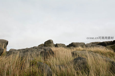 仰望苍穹下的嶙峋岩壁与枯草