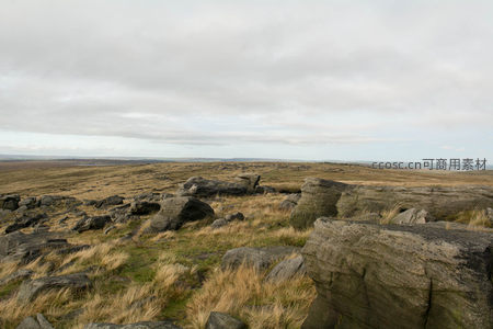 辽阔高原上散布的巨石与枯草