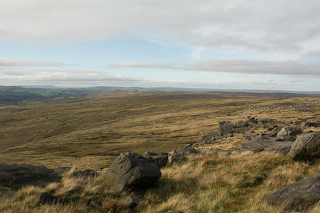 高原草甸上的嶙峋巨石群落