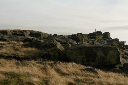 枯草覆盖的山丘与远方地标