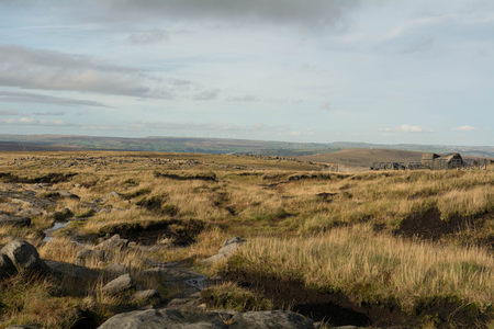 溪流穿行的高原草甸与乱石滩