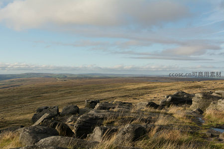 高原之上，岩石与枯草交织的旷野