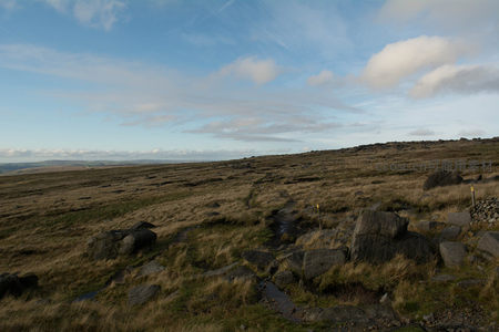 荒原小径蜿蜒穿过岩石与草地