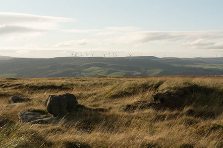金色草原远眺风电场
