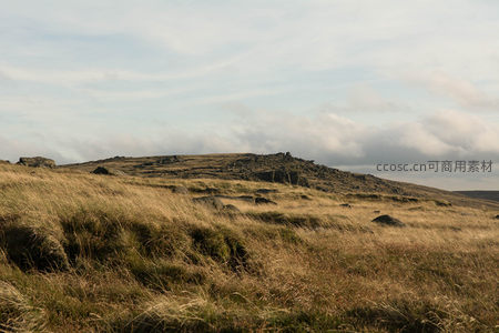 金黄草甸与远山云影