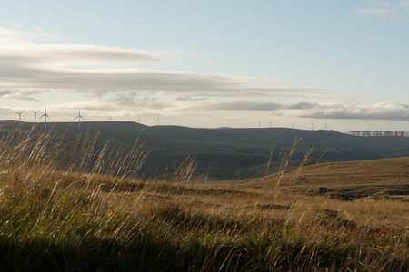 风吹草低见风车群
