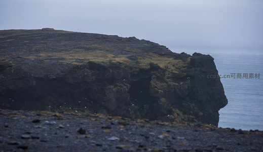 崖壁栖鸟，荒野之境