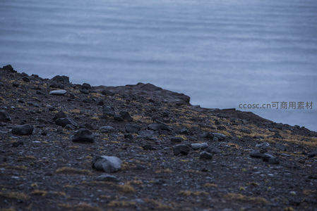 黑沙海岸斜坡，点缀枯草与碎石