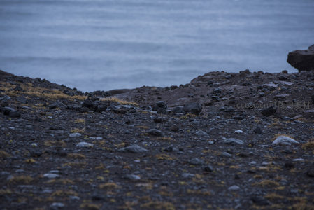 崎岖海岸线上的火山岩层