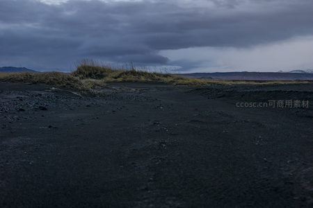 黑土平原上的孤草与风暴云