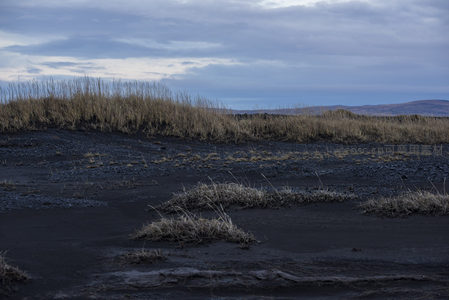 火山灰地上枯草随风摇曳