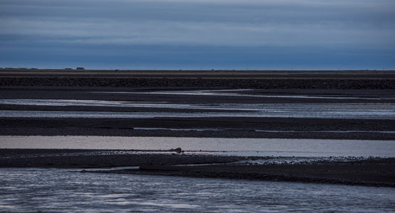 幽暗河床中流淌的寂静时光