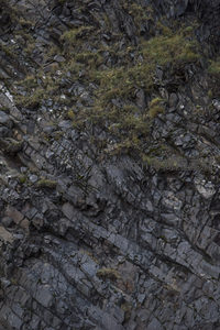 岩壁苔藓点缀层叠石纹