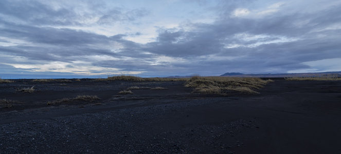 黑土荒原上稀疏草丛与辽阔云天