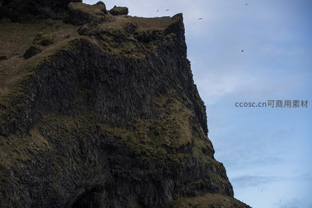 悬崖峭壁上的苔藓与翱翔飞鸟