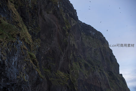 峭壁飞鸟，自然奇观