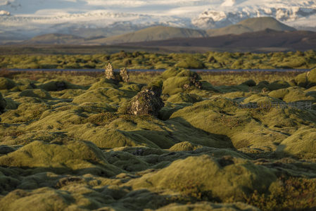 苔藓覆盖的熔岩原野，远山如画