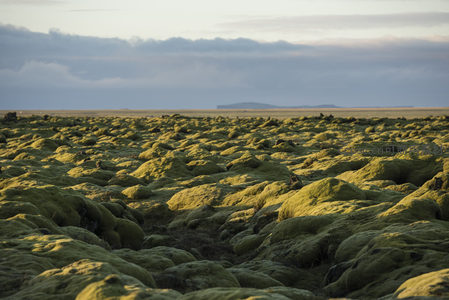无垠苔原在晨光中铺展，静谧辽阔