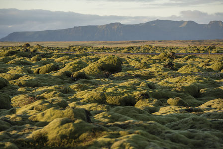 苔藓熔岩地前，远山巍峨如屏障