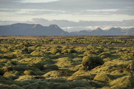 苔藓覆盖的火山岩地貌，远山如黛