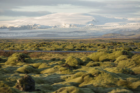 苔原与雪山的壮丽远景