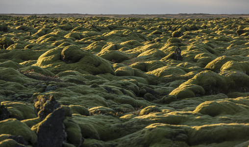 火山岩与苔藓共生的原始秘境