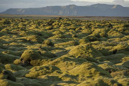 苔藓覆盖的火山岩地貌与远山