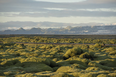 苔原绿毯与雪山交相辉映