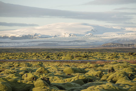 雪峰脚下苍翠苔原延伸无垠