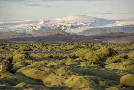 苔藓地貌与雪山构成奇幻风景